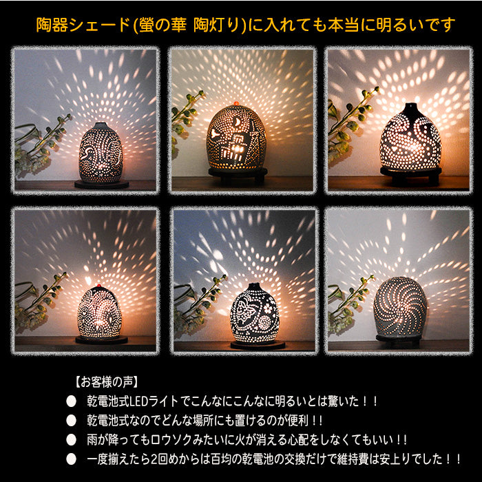螢の華 かぐや 光華  05個 セット