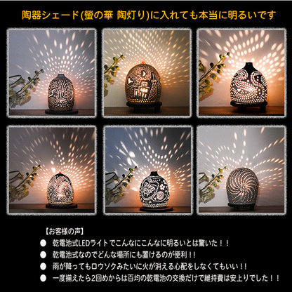 螢の華 かぐや 光華  05個 セット